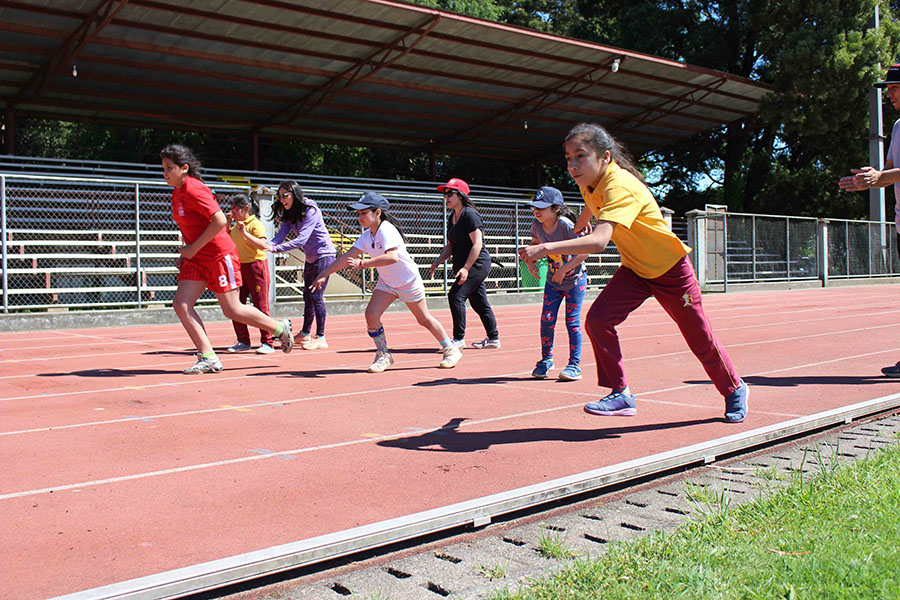 Alumnos de escuelas especiales participaron con gran entusiasmo de las VII Olimpiadas de Educación Diferencial