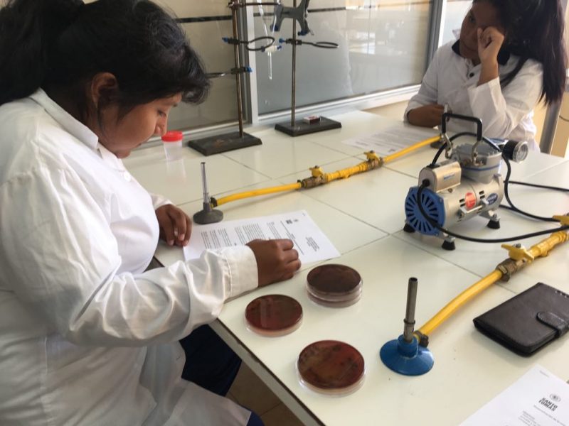 Estudiantes de 3ro medio realizaron proyecto científico en Arica con apoyo de jefe de carrera de Análisis Químico