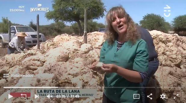Sabingo mostró el proyecto de Ovisnova "La Ruta de la Lana" en la Región de O'Higgins