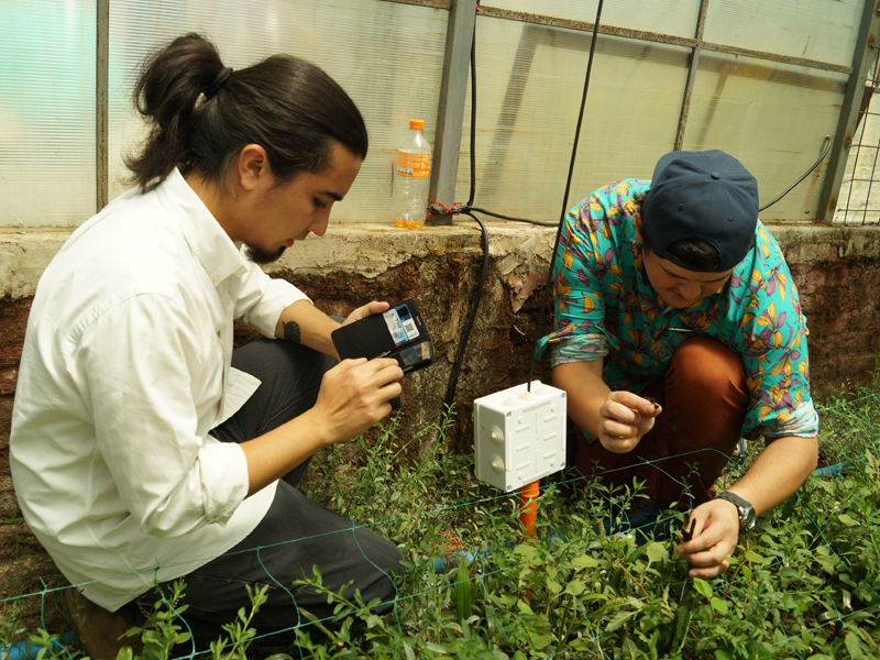 Proyecto estudiantil lleva la tecnología al mundo agrícola