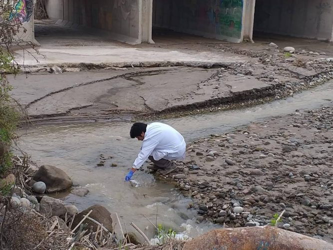Estudiantes realizaron muestreo del río Lluta para medir el impacto del invierno altiplánico en zona cercana al Humedal en Arica