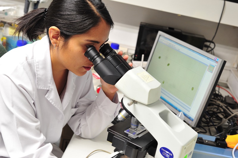 UST avanza 12 puestos en investigación en Ranking Internacional de Investigación Scimago