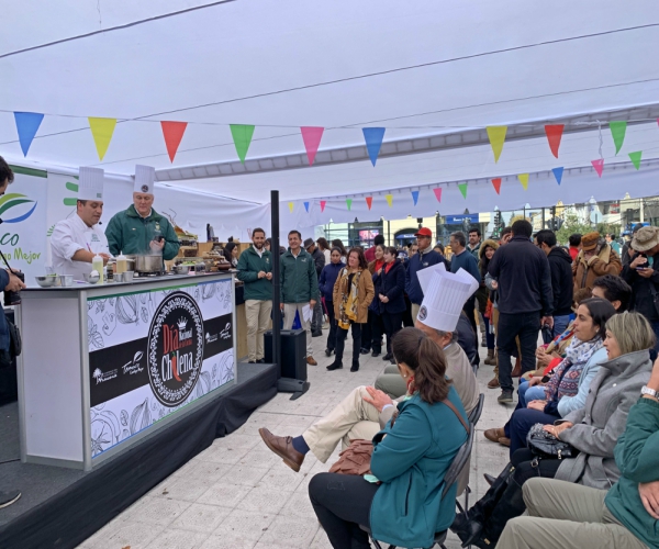 Gastronomía conmemoró Día Nacional de la Cocina Chilena