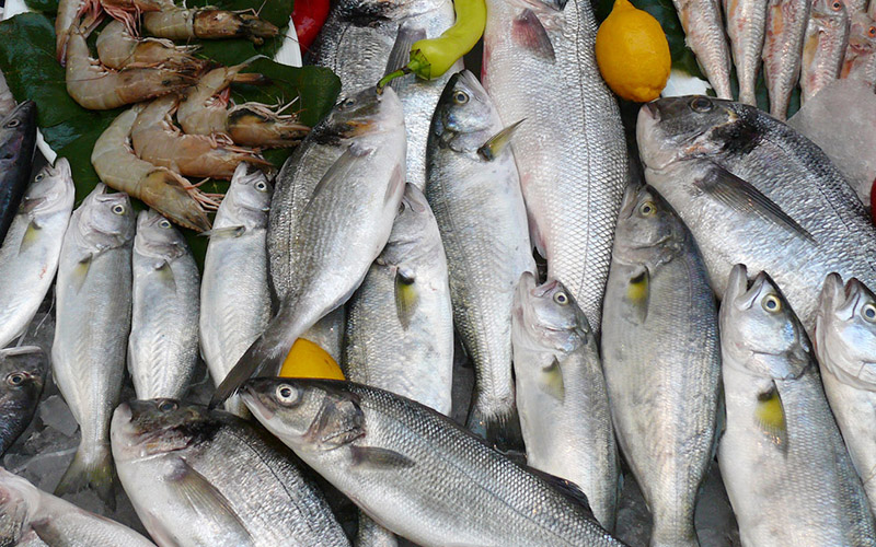 Experto en Nutrición de Universidad Santo Tomás llama a aumentar la frecuencia en el consumo de productos del mar