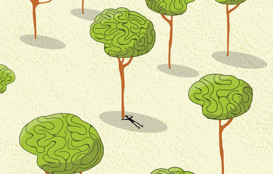 5 datos de la neurociencia para entender a los adolescentes