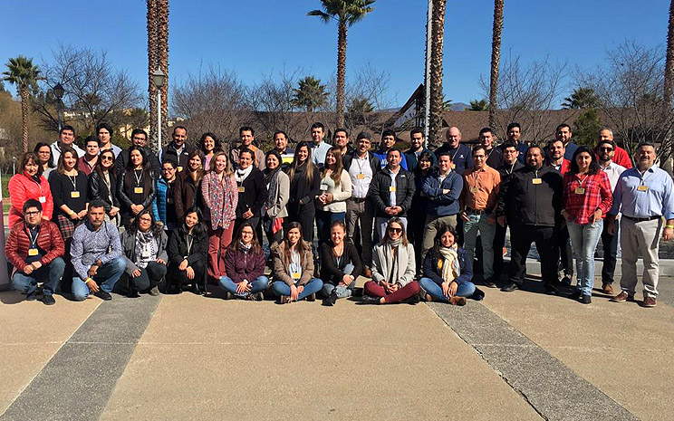 IP-CFT Santo Tomás realiza taller docente para implementar asignatura de Proyectos Colaborativos