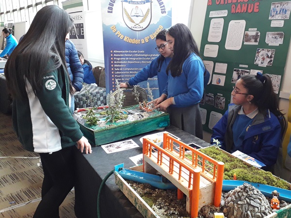 Masiva participación de estudiantes marcó la VIII versión de la Feria de la Ciencia y Tecnología 2019 en Osorno