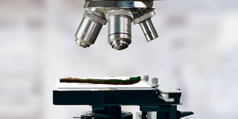 Proyectos de la UST se adjudican fondos de investigación e innovación