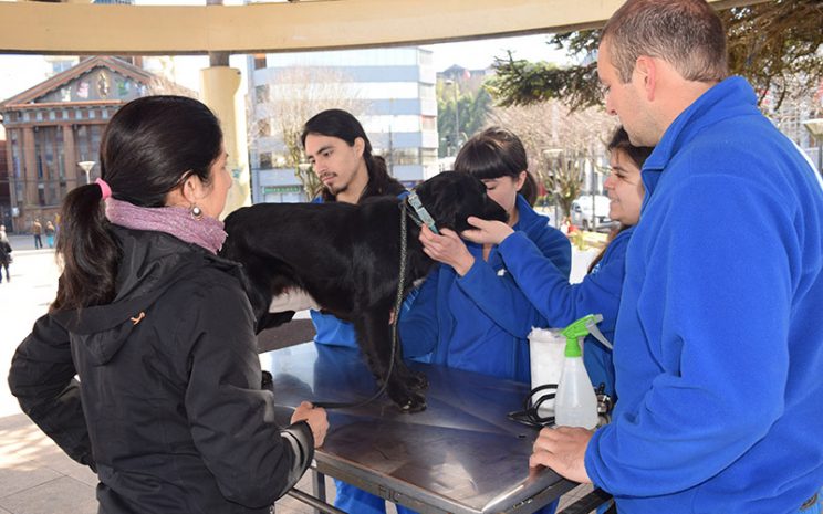 Facultad de Recursos Naturales y Medicina Veterinaria conmemora el Día Mundial contra la Rabia con actividades a lo largo del país