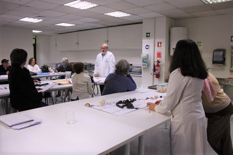 Personas Mayores “fascinadas” con Taller Ciencias del Mar impartido en la UST Santiago
