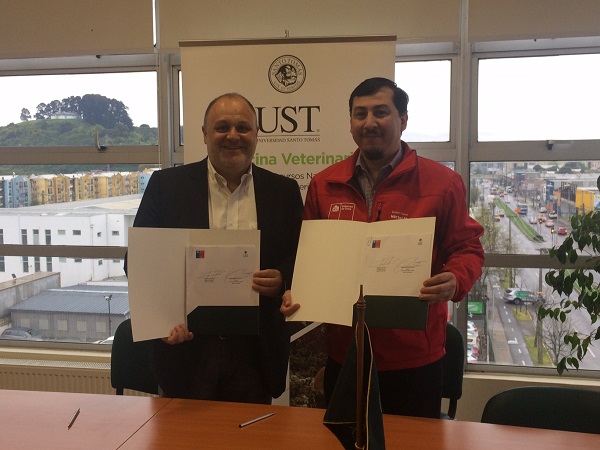 Clínica Veterinaria UST recibirá muestras de casos sospechosos de rabia para su envío al ISP
