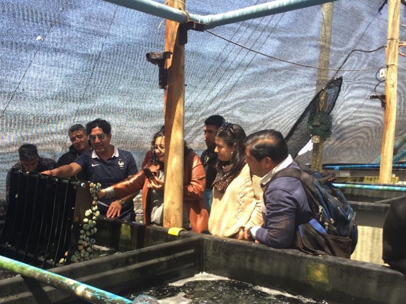 Estudiantes del Magíster en Gestión de la Innovación Empresarial visitan la empresa cultivadora de abalón Live Seafood S.A.