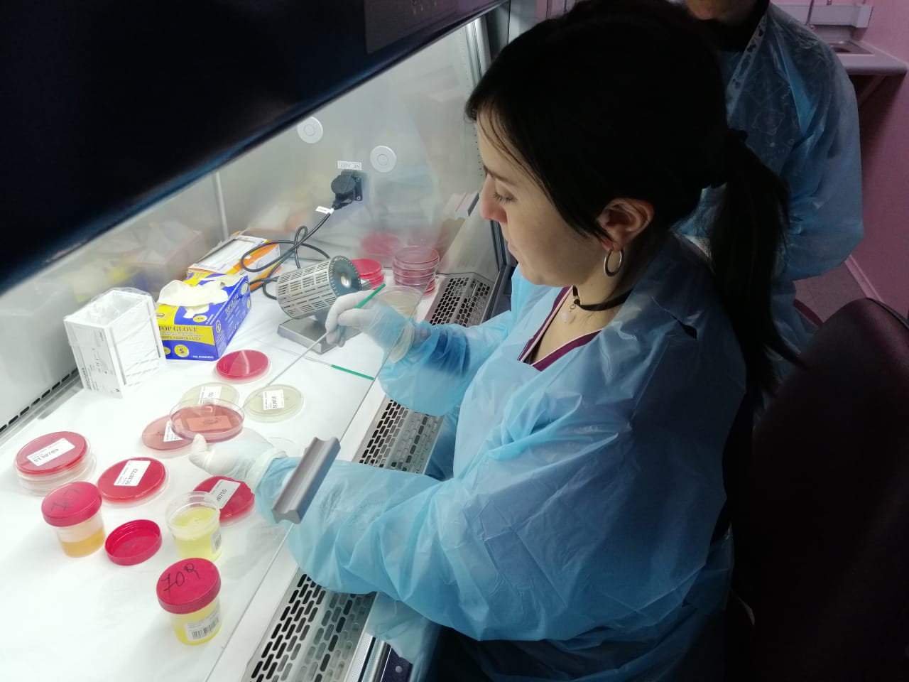 Laboratorio Clínico de Municipalidad de Temuco beneficia a 197 mil usuarios