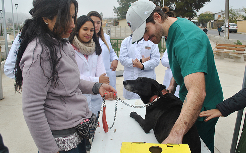 Seminario analizará dificultades en la implementación de la Ley de Tenencia Responsable de Mascotas y Animales de Compañía