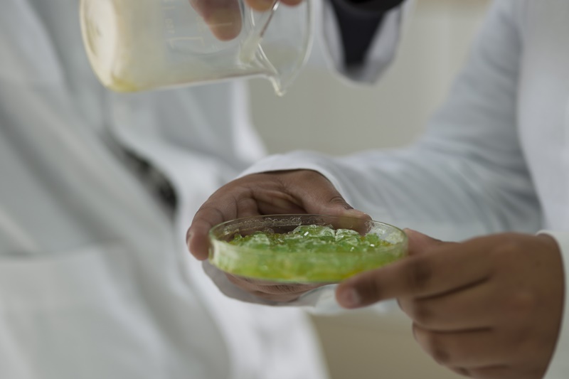 Ocho nuevos proyectos de investigación se adjudican recursos externos para su ejecución