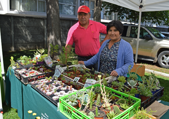 Estudiantes de CFT Santo Tomás organizaron Seminario Hortícola y Feria Agrícola