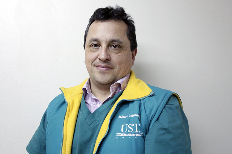 Pulgas y garrapatas problema de salud pública
