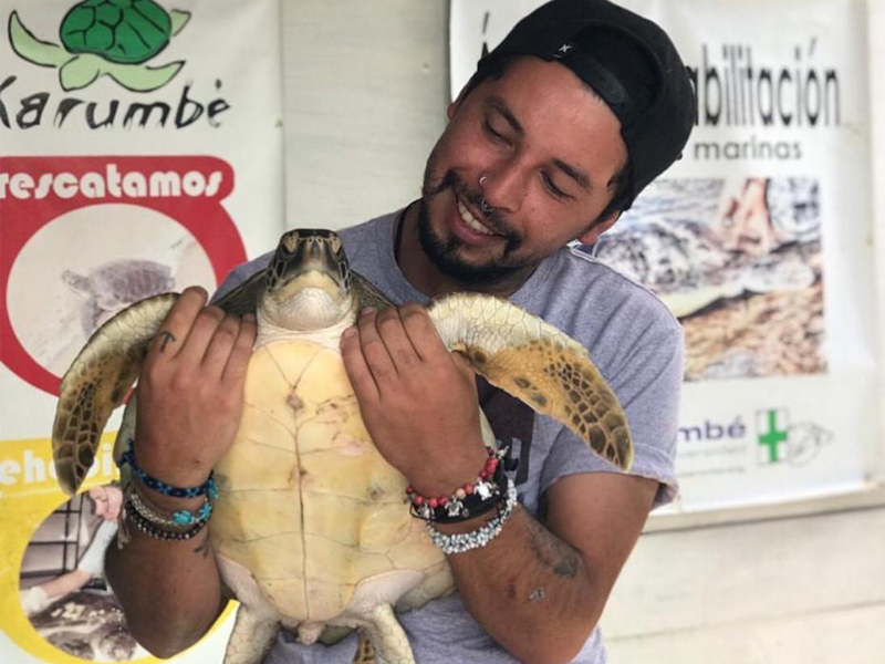 Estudiante tomasino lucha por proteger las tortugas verdes en el norte de Chile