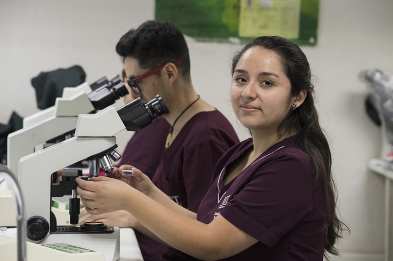 Vocación y empleabilidad: el sello de las carreras de Enfermería y Tecnología Médica
