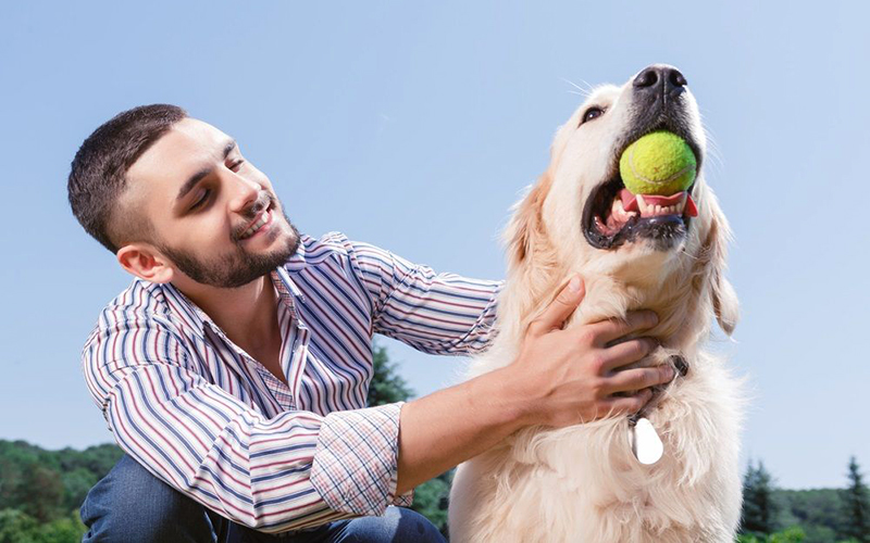 ¿Qué hacer con las mascotas en tiempos de cuarentena por Covid-19? Experto entrega algunas respuestas