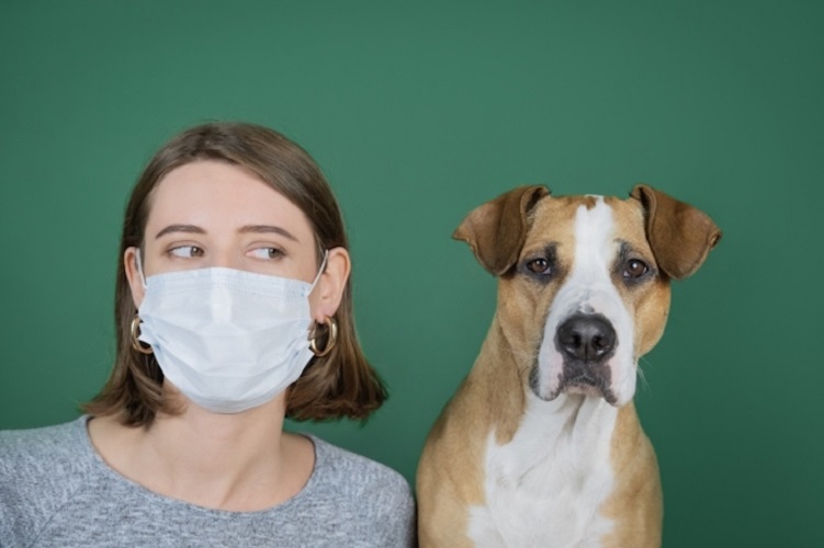 Cuidado de mascotas en tiempos de pandemia