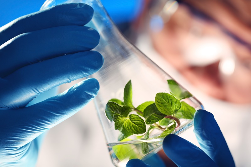 UST destaca en investigación en ranking internacional Scimago 2020