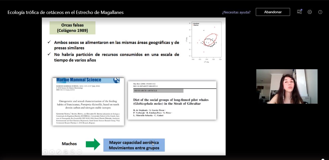 Facultad de Ciencias UST organiza webinar sobre cetáceos en el Estrecho de Magallanes