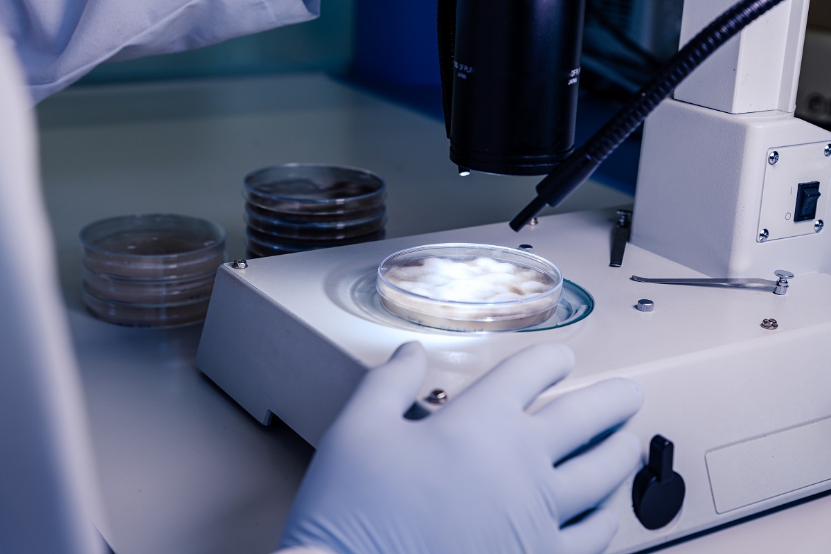 UST Santo Tomás Osorno se adjudicó proyecto que contribuirá a conocer el panorama epidemiológico de la multirresistencia en Chile