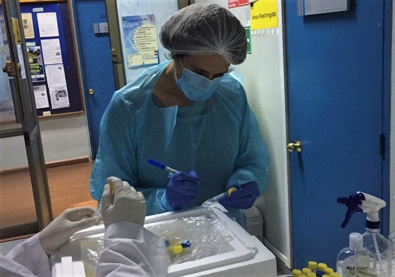Profesora de Tecnología Médica UST Santiago colabora en diagnósticos COVID-19