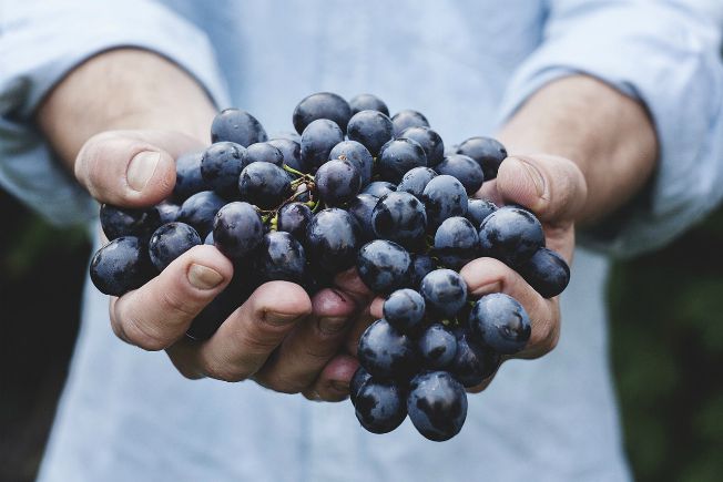 Gastronomía sostenible en tiempos de pandemia