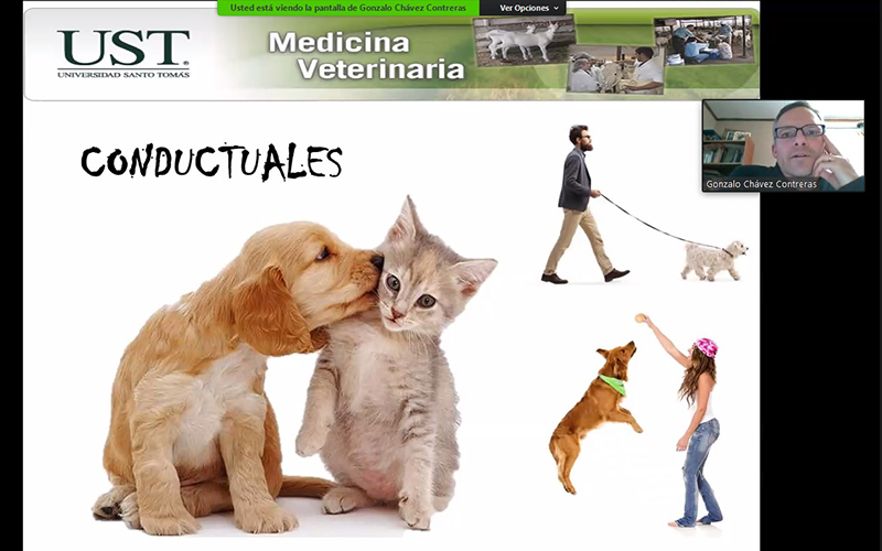 Carrera de Medicina Veterinaria de UST Viña del Mar da inicio al ciclo de charlas “Hablemos de tenencia responsable de mascotas en tiempos de pandemia”
