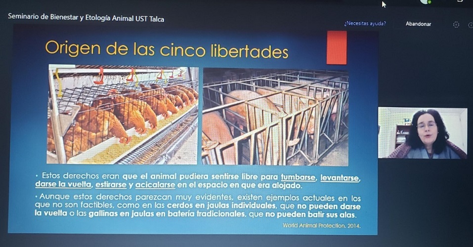 Alumnos de Medicina Veterinaria participaron en Seminario sobre Etología y Bienestar Animal
