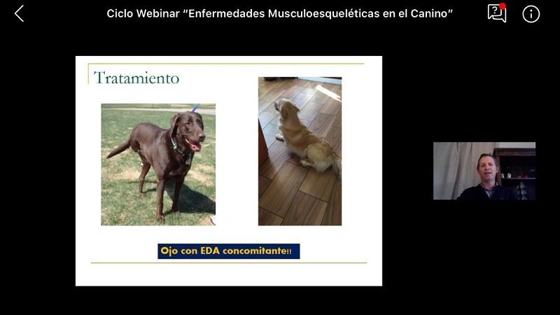 Estudiante por Webinar de Medicina Veterinaria: “Muy bueno el Seminario. Muy buenos expositores”