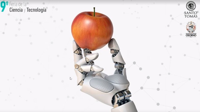 Con alta participación y, por primera vez, en modalidad online se realizó la 9° Feria de la Ciencia y Tecnología