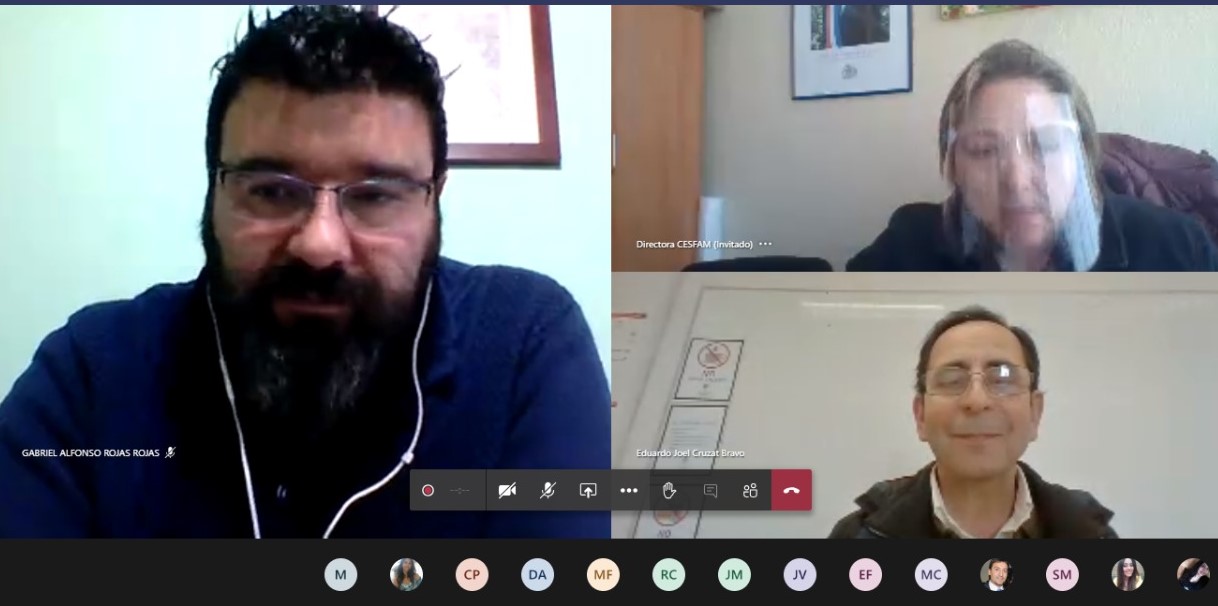 Estudiantes de Kinesilogía de la UST Valdivia se capacitan en Telesalud