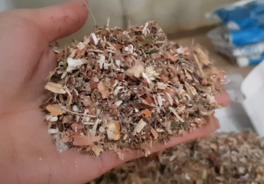 Proyecto experimental piloto a partir de residuos alimentarios, podría contribuir a mediano y largo plazo a la solución de la escasez de biocombustible