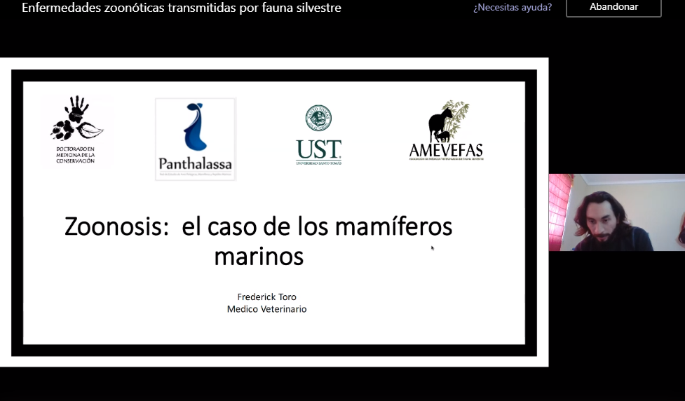 Cierre de ciclo de charlas abordó la zoonosis en mamíferos marinos
