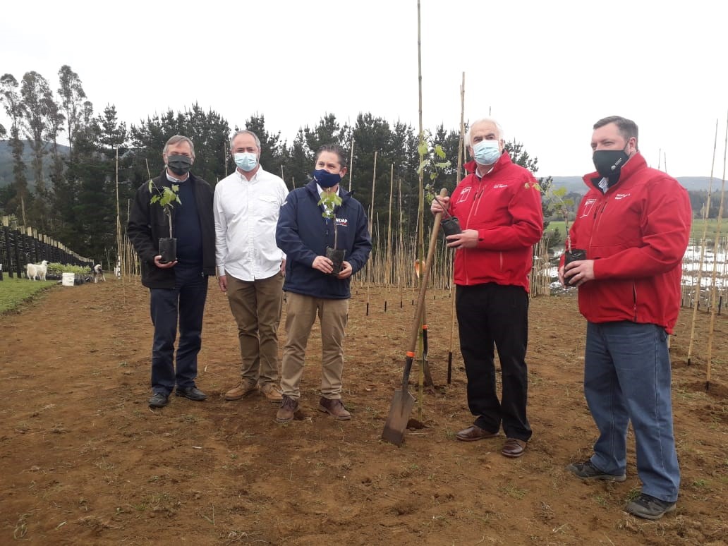 Proyecto UST y pequeños agricultores usuarios de Indap marcan hito histórico con el establecimiento del primer cultivo de vides en la región