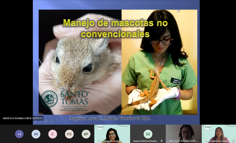 Taller de admisión abordó el manejo de animales no convencionales