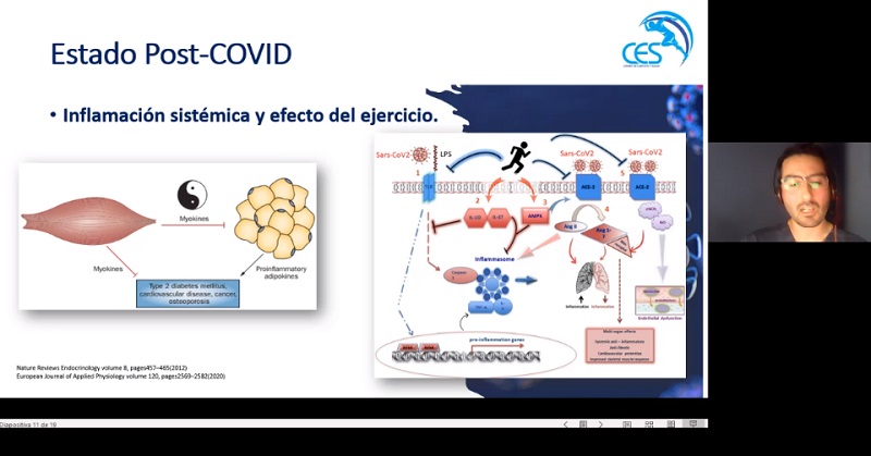 Charla sobre el peligro de la obesidad en pandemia: Expertos recomiendan entrenamientos de alta intensidad
