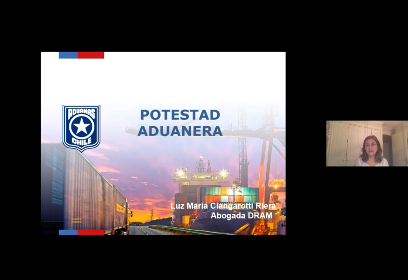 Aduana: competencias y atribuciones del servicio en Chile