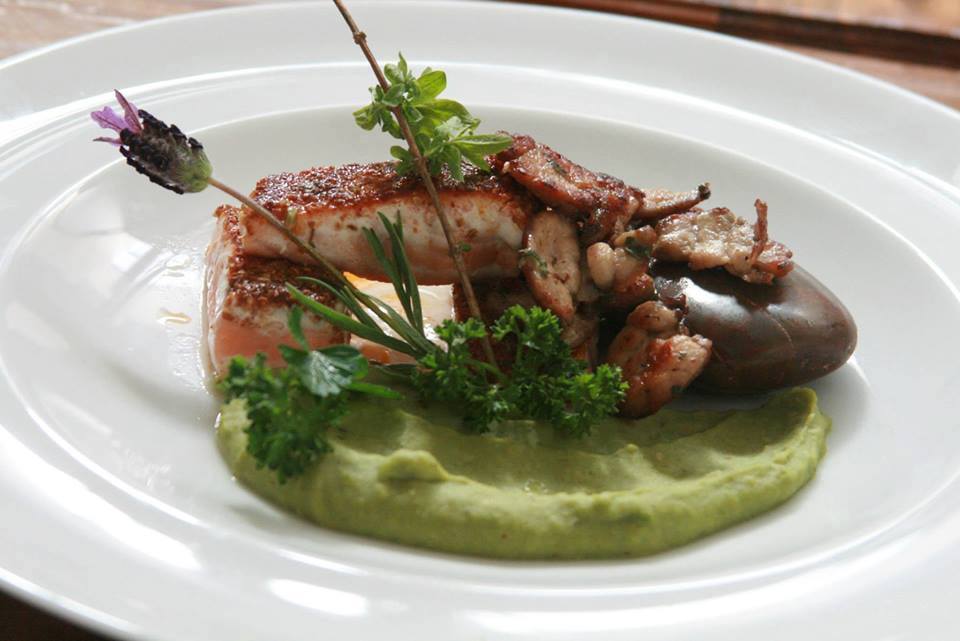 CFT Santo Tomás Temuco es parte de atractivo proyecto gastronómico