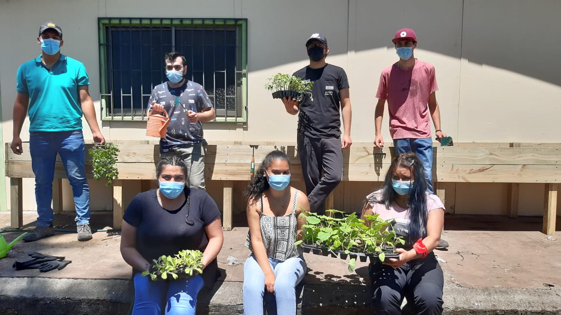Estudiantes de Santo Tomás Chillán impulsan la creación de huertos urbanos
