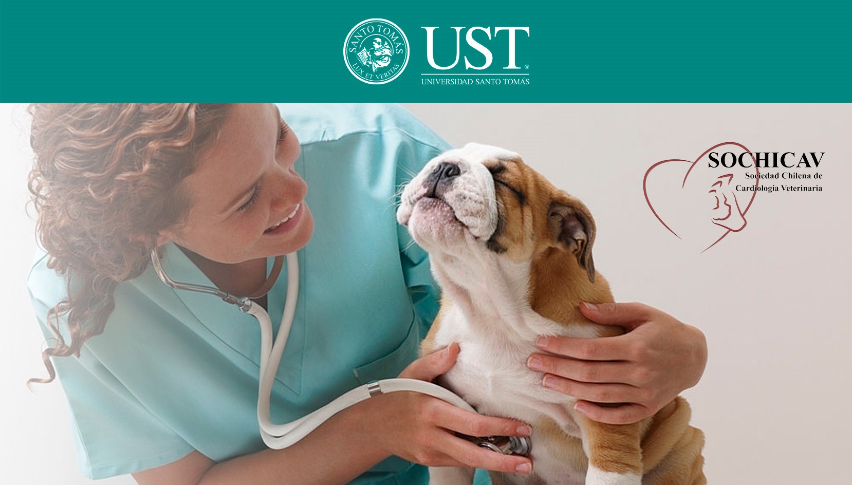 UST y la Sociedad Chilena de Cardiología realizan exitosa jornada