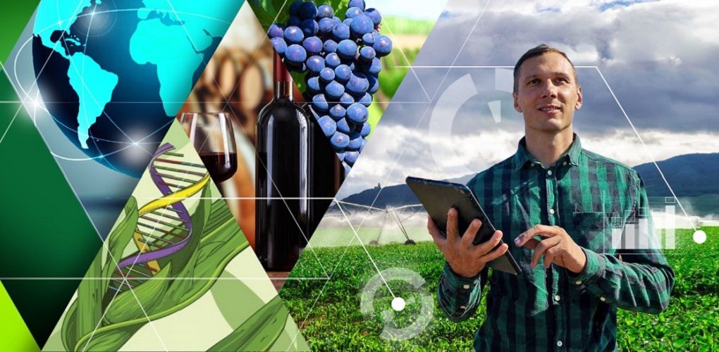 UST Talca invita a Seminario sobre Innovación en el Sector Agroindustrial