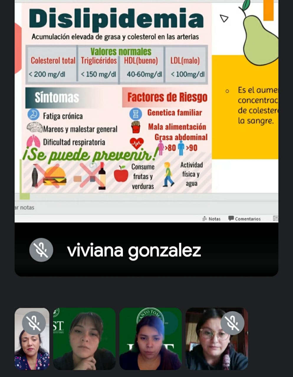 Estudiantes de Enfermería UST Osorno implementan atenciones de terreno online a familias y organizaciones comunitarias