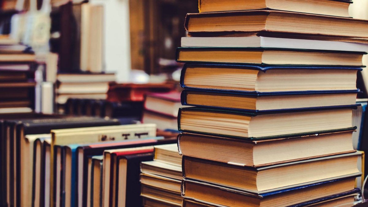 Santo Tomás Temuco celebró el Día del Libro junto a destacado artista local