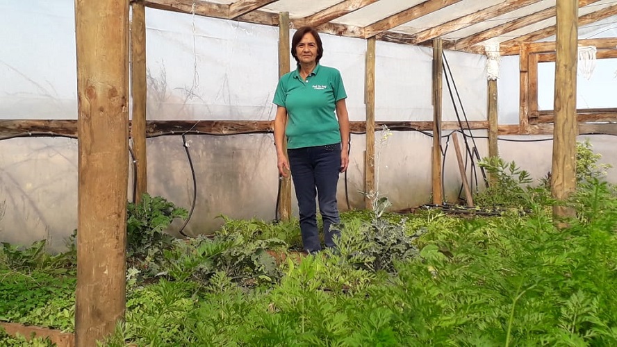 “Huerto Ripe Inalaf”: producción orgánica y saludable directamente a tu mesa
