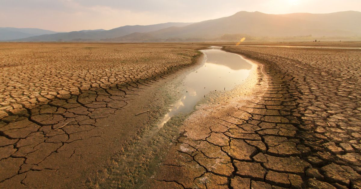 Tomar conciencia y hacer uso responsable de los recursos es clave para rescatar la huella ecológica en el país