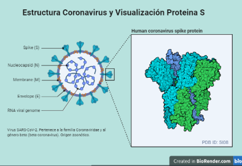 Cuadragésimo boletín científico covid-19 sede Iquique